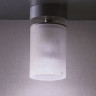 Светильник потолочный цвет плафона матовый под лампу 1xQPAR16 50W