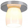 Потолочный накладной светильник под лампу 1хG9 230V max 60 Watt. Арматура - хром,керамика белая Наш интернет-магазин предлагает приобрести люстры и светильники дешево.