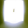 Светильник настенно потолочный VELETTA 50 P PL цвет стекла красный под лампу 2xE27 75W
