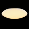 Потолочный светильник Freya FR6999-CL-30-W