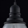 Подвесной светильник Maytoni T162-00-B