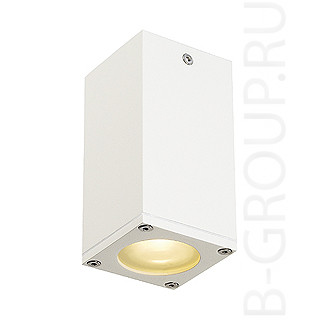 Потолочные накладные светильники THEO CEILING OUT светильник потолочный IP23 для лампы GU10 35Вт макс., белый