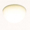 Светильник настенно потолочный арматура белая под лампу 1хТС D G24d 1 10W IP20