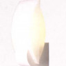 Бра арматура латунь стекло опаловое под лампу 2 ТС G23 9W