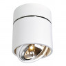 Светильники накладныеCARDAMOD SURFACE ROUND QRB SINGLE светильник накладной для лампы QRB111 75Вт макс., белый