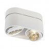 Потолочные накладные светильникиCARDAMOD SURFACE ROUND QRB DOUBLE светильник накладной для ламп QRB111 2x75Вт макс., белый