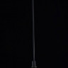 Подвесной светильник Maytoni T162-01-B