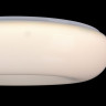 Потолочный светильник Maytoni MOD362-CL-01-60W-W