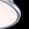 Потолочный светильник Maytoni C615CL-L40CH